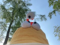 -春花秋色城市公园