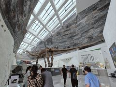 -中华赏石园
