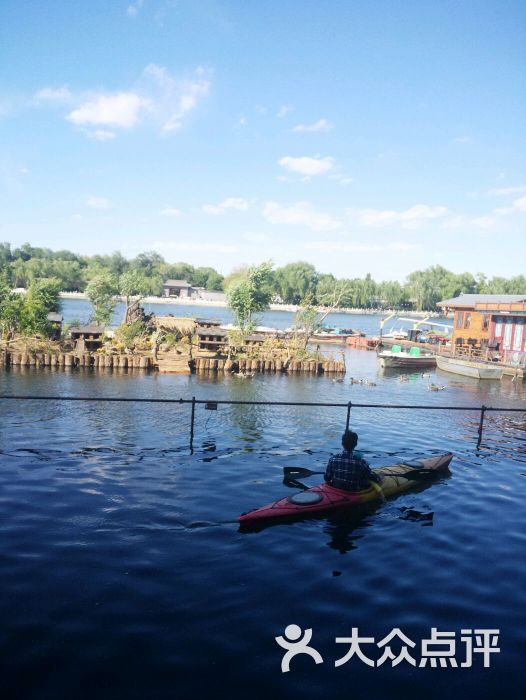 后海野鸭岛图片 - 第111张