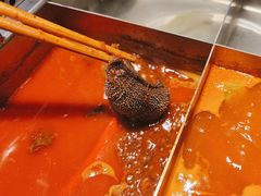 捞派脆脆毛肚-海底捞火锅(上地华联店)