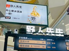 -野人先生Gelato(上海长宁龙之梦店)