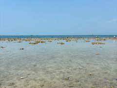 -三亚西岛海洋文化旅游区