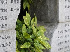 -侵华日军南京大屠杀遇难同胞纪念馆