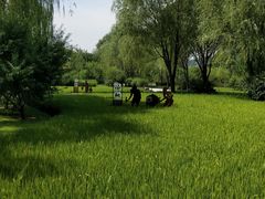 -北坞公园