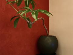 -福院