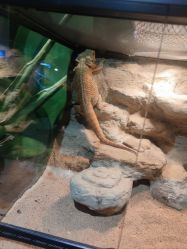 -酷嗒动物文化乐园(cutezoo西溪乐天城店)