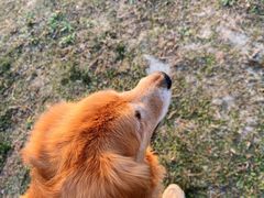 -两河城市森林公园