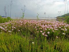 -平湖九龙山旅游度假区