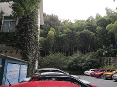 -上海市保健医疗中心