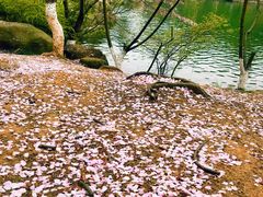-白马涧龙池景区