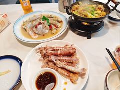 -新楚记