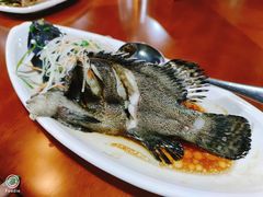 清蒸老虎斑-南海渔家•海鲜•正宗海南菜(海棠湾店)