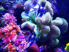 -成都浩海立方海洋公园