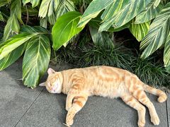 -晓港公园