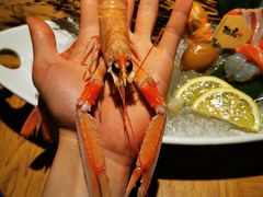 -松岛日本料理(汾江路店)