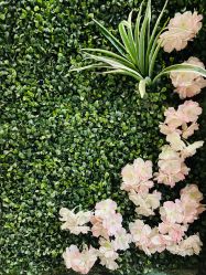 -美肤盾祛痘·问题肌头疗管理中心