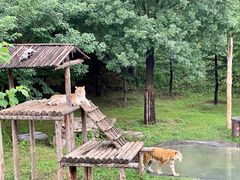 -济南野生动物世界