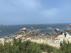 -养马岛旅游度假区