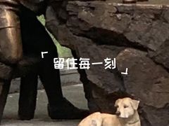 -川魂帽牌货冒菜(月东街店)