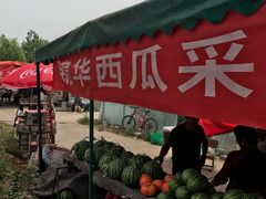 -庞各庄西瓜蔬菜采摘园·锦华瓜园