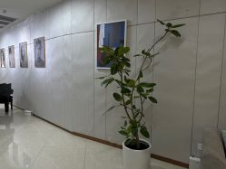 -AIST爱思特医疗美容医院