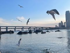 -黑石礁公园