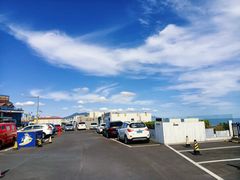 -海合安青岛极地海洋公园