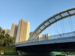 -福田红树林生态公园
