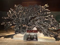 -乐山乌木文化博览苑