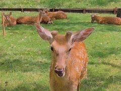 -Gucci(北京金融街购物中心店)