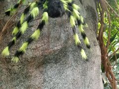 -龙达温泉生态城