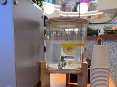 -野人先生Gelato(上海长宁龙之梦店)