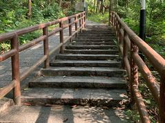 -水濂山森林公园