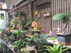 -桂林市花鸟市场