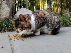 -成都杜甫草堂博物馆