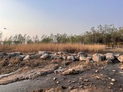 -绿堤公园