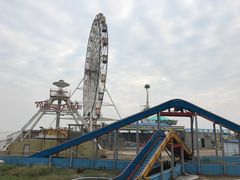 -上海棕榈滩海景酒店