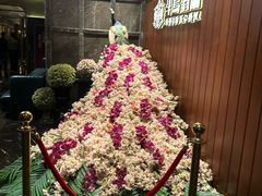 -半岛翡丽海鲜自助餐厅(观风亭店)