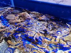 -澜悦港海鲜体验主题餐厅
