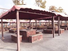 -春花秋色城市公园