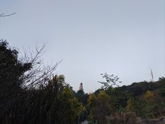 -金海湾滨江公园
