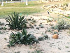 -东莞植物园