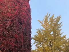 -辽宁大学(崇山校区)