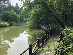-宝岩生态观光园