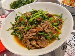 -壹盏灯(惠农店)