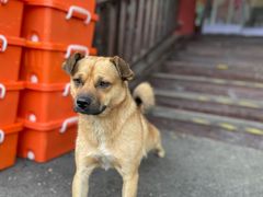 -何适山庄 ·可团建(水长城P2停车场店)