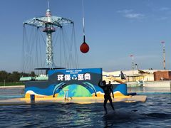 -秦皇岛乐岛海洋王国