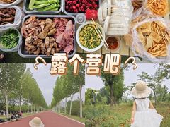 -洨河生态公园