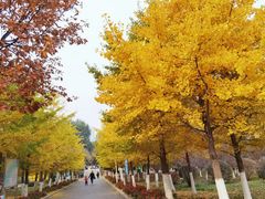 -辽宁大学(崇山校区)