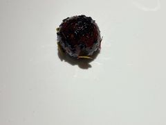 -Oyster Talks 四度蚝法餐厅